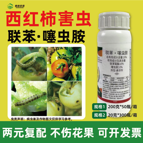 西红柿不用农药如何防虫_种植小番茄怎么驱虫最好呢 西红柿不用农药如何防虫_种植小番茄怎么驱虫最好呢 花朵知识
