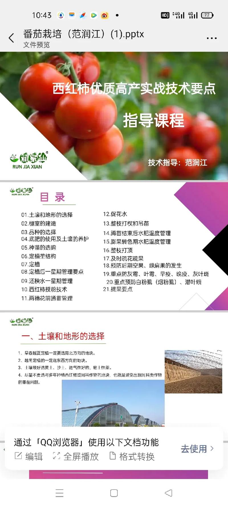 西红柿高产栽培技术有哪些_怎么种植高产番茄种子 西红柿高产栽培技术有哪些_怎么种植高产番茄种子 番茄种植技巧