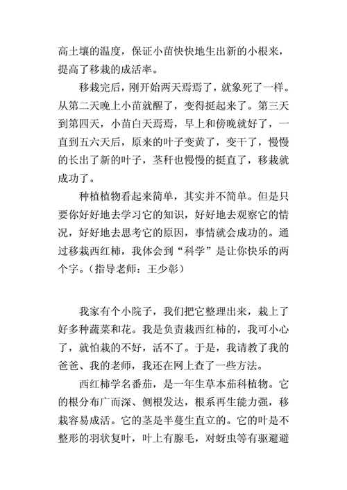 小西红柿种植技术_种植小番茄窍门怎么写作文 小西红柿种植技术_种植小番茄窍门怎么写作文 植物种类