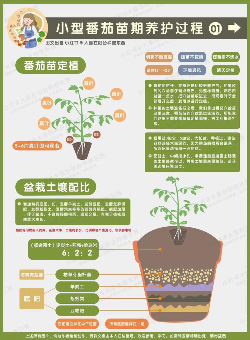 种小番茄的方法和步骤_农家番茄怎么种植视频 种小番茄的方法和步骤_农家番茄怎么种植视频 农业常识