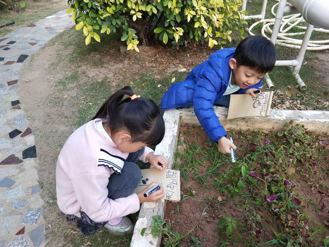 DVC是什么意思_番茄和苋菜怎么种植视频教程 番茄种植技巧 DVC是什么意思_番茄和苋菜怎么种植视频教程 DVC是什么意思_番茄和苋菜怎么种植视频教程 番茄种植技巧