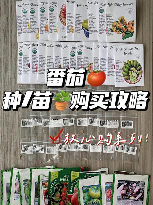 西红柿种子最好是什么品种_不同番茄怎么选种子种植方法 西红柿种子最好是什么品种_不同番茄怎么选种子种植方法 农业常识