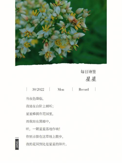 岩棉，椰糠栽培西红柿一天需要浇几次水_设施番茄种植日历怎么写文案 岩棉，椰糠栽培西红柿一天需要浇几次水_设施番茄种植日历怎么写文案 花朵知识