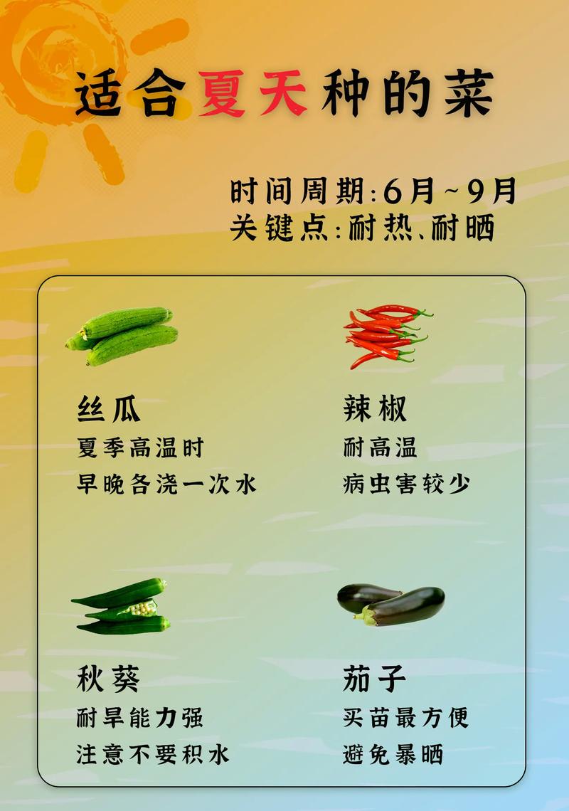 夏季种植什么蔬菜好？有哪些蔬菜温度越高长得越好_夏季蔬菜种植小技巧有哪些 夏季种植什么蔬菜好？有哪些蔬菜温度越高长得越好_夏季蔬菜种植小技巧有哪些 植物种类