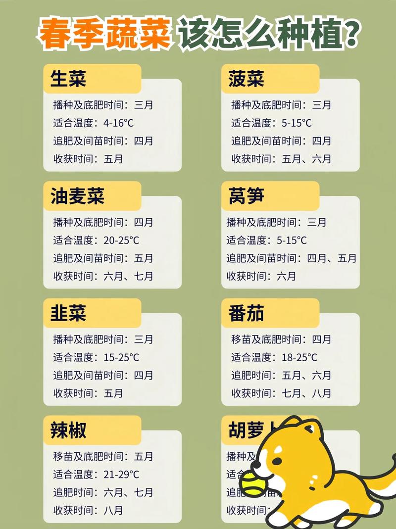 2020年春季适合播种哪些蔬菜，蔬菜种植注意事项又有哪些呢_春季蔬菜种植技巧和方法 2020年春季适合播种哪些蔬菜，蔬菜种植注意事项又有哪些呢_春季蔬菜种植技巧和方法 种植技巧