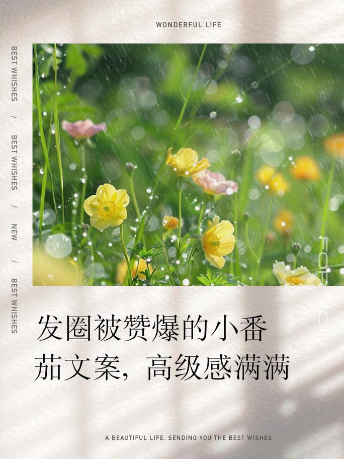 自己种番茄发圈文案_番茄种植区文案怎么写好 自己种番茄发圈文案_番茄种植区文案怎么写好 土壤施肥