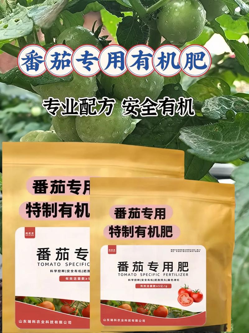 西澳红柿用什么肥料好_番茄种植怎么补充钙肥呢 西澳红柿用什么肥料好_番茄种植怎么补充钙肥呢 番茄病虫害防治