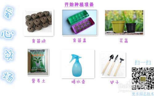 如何种植蔬菜_蔬菜种植教程 如何种植蔬菜_蔬菜种植教程 土壤施肥