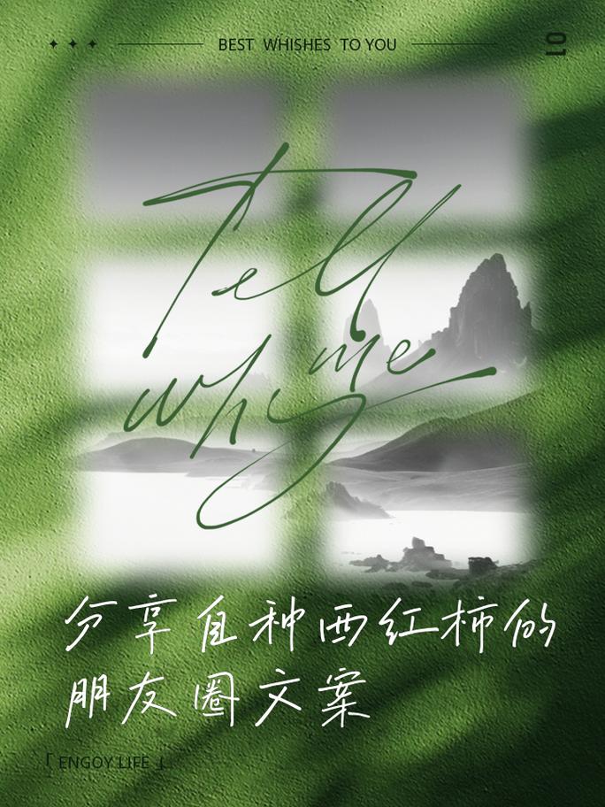 西红柿苗用什么粪好_番茄种植推荐商家怎么写文案 西红柿苗用什么粪好_番茄种植推荐商家怎么写文案 番茄病虫害防治