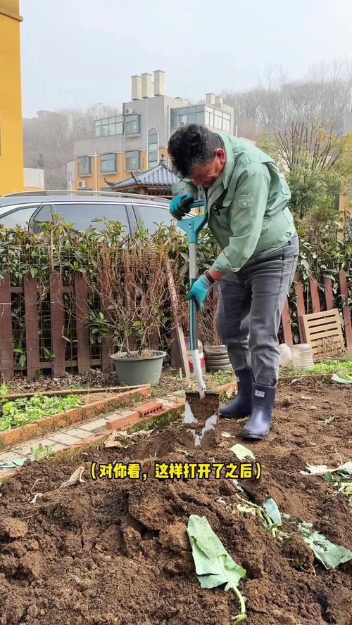 蔬菜种植技巧_蔬菜种植技术方法与技巧视频 蔬菜种植技巧_蔬菜种植技术方法与技巧视频 花朵知识