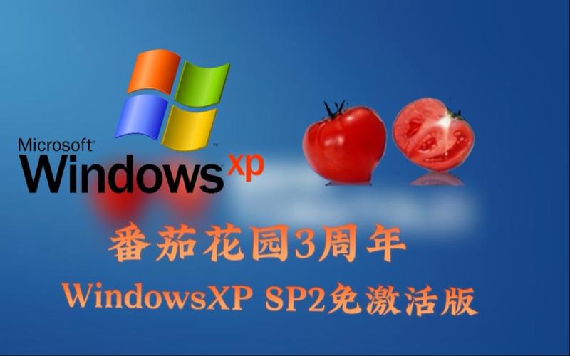 番茄花园系统XP怎么安装_花园种水果番茄怎么种植的 番茄花园系统XP怎么安装_花园种水果番茄怎么种植的 花朵知识