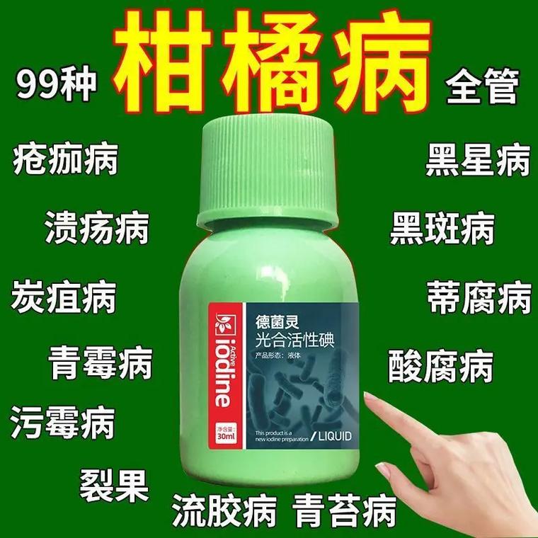 柑橘黄化，你是怎么用药的_番茄溃疡病防治 柑橘黄化，你是怎么用药的_番茄溃疡病防治 土壤施肥