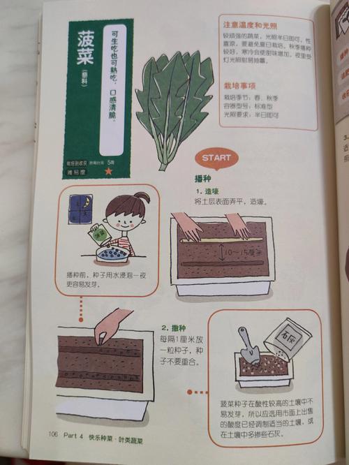菠菜西红柿丸子的做法_菠菜怎么种植小番茄视频 菠菜西红柿丸子的做法_菠菜怎么种植小番茄视频 农业常识