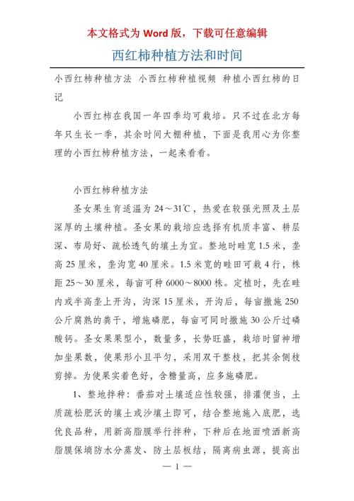秋季西红柿什么时间种植_秋天的番茄怎么种植的 秋季西红柿什么时间种植_秋天的番茄怎么种植的 植物种类