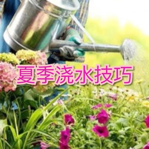 线上种树怎么种植_蔬菜种植和浇水技巧视频教程 线上种树怎么种植_蔬菜种植和浇水技巧视频教程 植物种类
