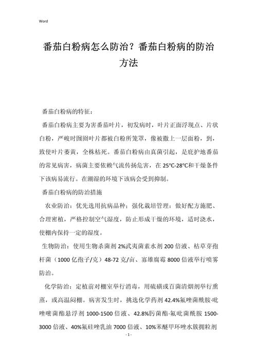 蕃茄的白粉病该怎么治疗_种植总结番茄怎么写范文 蕃茄的白粉病该怎么治疗_种植总结番茄怎么写范文 种植技巧