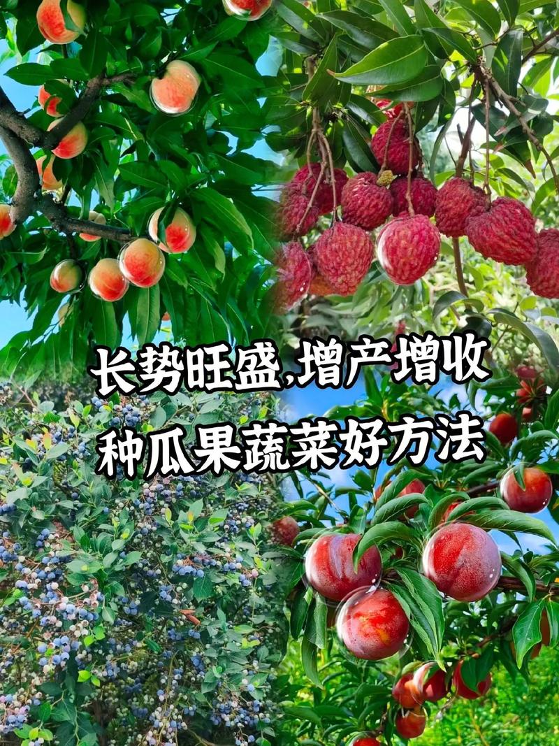 如何使农民种植的蔬菜水果直接送到消费者的手中_蔬菜种植方法技巧视频教程 如何使农民种植的蔬菜水果直接送到消费者的手中_蔬菜种植方法技巧视频教程 番茄种植技巧