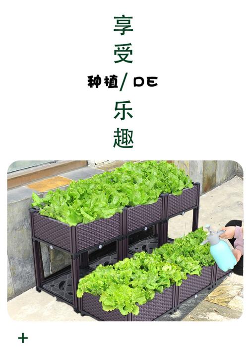 地膜覆盖栽培蔬菜需要掌握哪些技术才能获得最佳种植效果_室外蔬菜种植箱 种植技巧 地膜覆盖栽培蔬菜需要掌握哪些技术才能获得最佳种植效果_室外蔬菜种植箱 地膜覆盖栽培蔬菜需要掌握哪些技术才能获得最佳种植效果_室外蔬菜种植箱 种植技巧