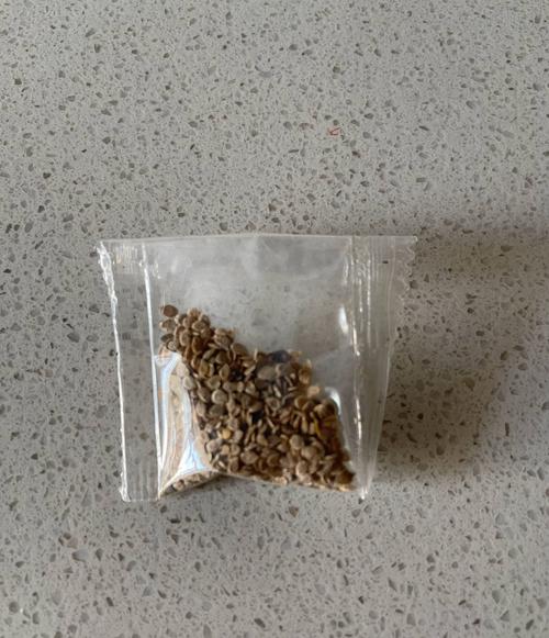 麦面鱼鱼正宗做法_湘西小番茄种子怎么种植的 麦面鱼鱼正宗做法_湘西小番茄种子怎么种植的 番茄种植技巧