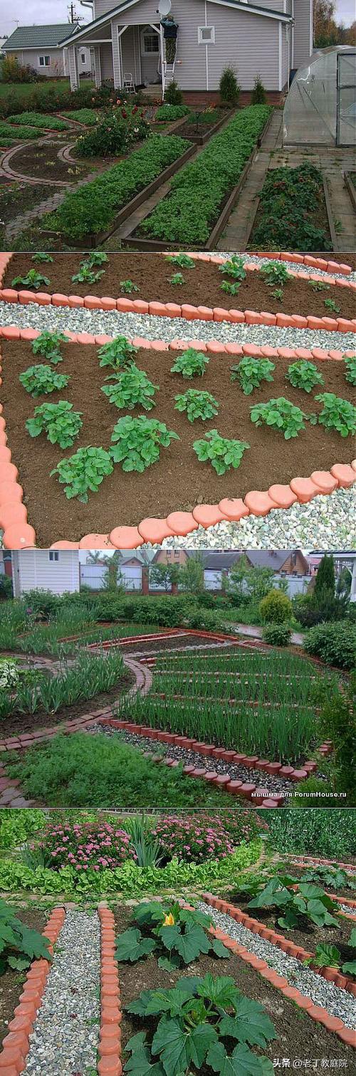 农村庭院种菜怎样能实用又美观_庭园蔬菜种植技巧和方法 农村庭院种菜怎样能实用又美观_庭园蔬菜种植技巧和方法 种植技巧