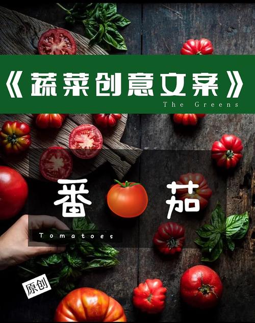 第一年种植大棚蔬菜的文案_蔬菜种植技巧文案简短精辟 第一年种植大棚蔬菜的文案_蔬菜种植技巧文案简短精辟 番茄病虫害防治
