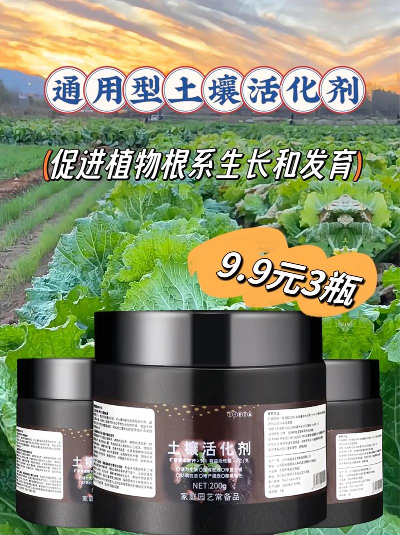 土壤活化剂施肥方法_蔬菜种植技巧土壤活化剂有哪些 土壤活化剂施肥方法_蔬菜种植技巧土壤活化剂有哪些 植物种类