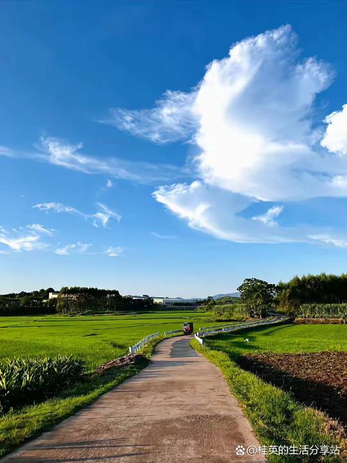 富足美丽的农村是休闲养老的乐园，退休后你会旅居农村吗？为什么_蔬菜种植技巧视频播放大全 富足美丽的农村是休闲养老的乐园，退休后你会旅居农村吗？为什么_蔬菜种植技巧视频播放大全 番茄病虫害防治