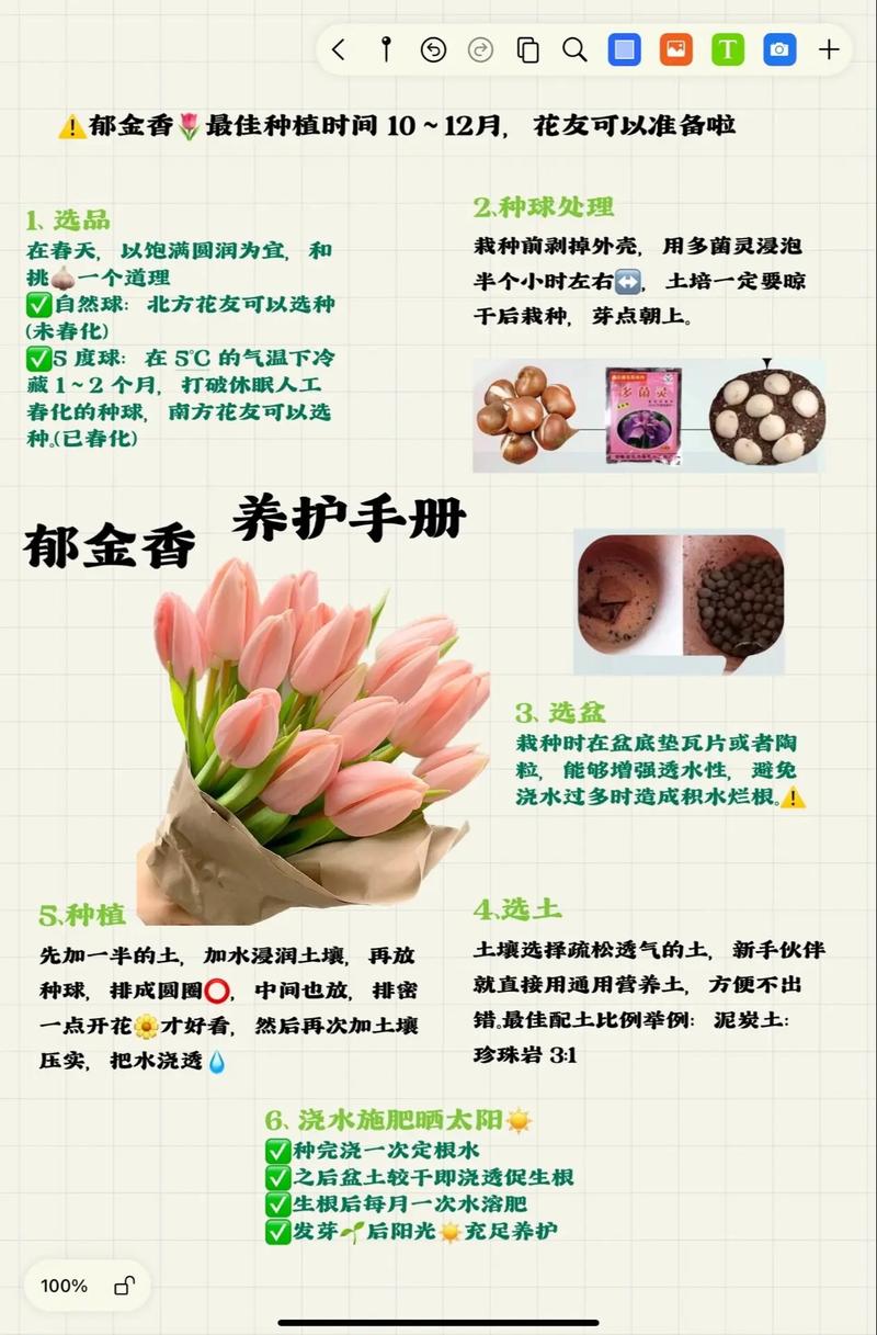 铁打豆种植方法_广东蔬菜种植技巧视频教程 铁打豆种植方法_广东蔬菜种植技巧视频教程 花朵知识