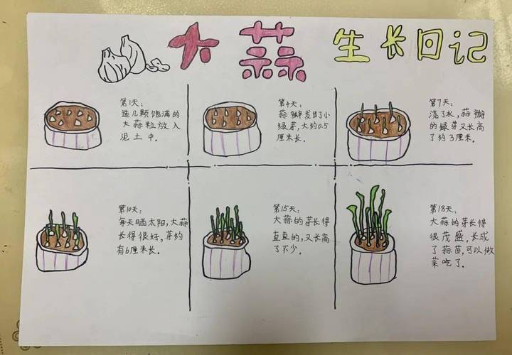 蔬菜画儿童画_蔬菜种植技巧图片简笔画大全 蔬菜画儿童画_蔬菜种植技巧图片简笔画大全 番茄病虫害防治