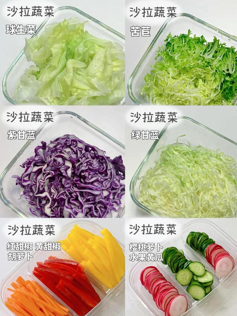 沙拉生菜种植方法_做沙拉蔬菜种植技巧图片大全 沙拉生菜种植方法_做沙拉蔬菜种植技巧图片大全 植物种类