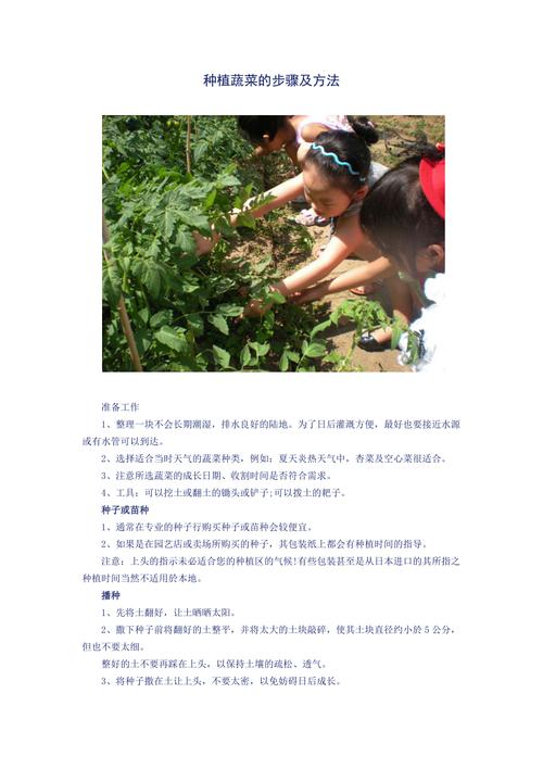 蔬菜种植方法_简单蔬菜种植技巧视频 蔬菜种植方法_简单蔬菜种植技巧视频 番茄病虫害防治