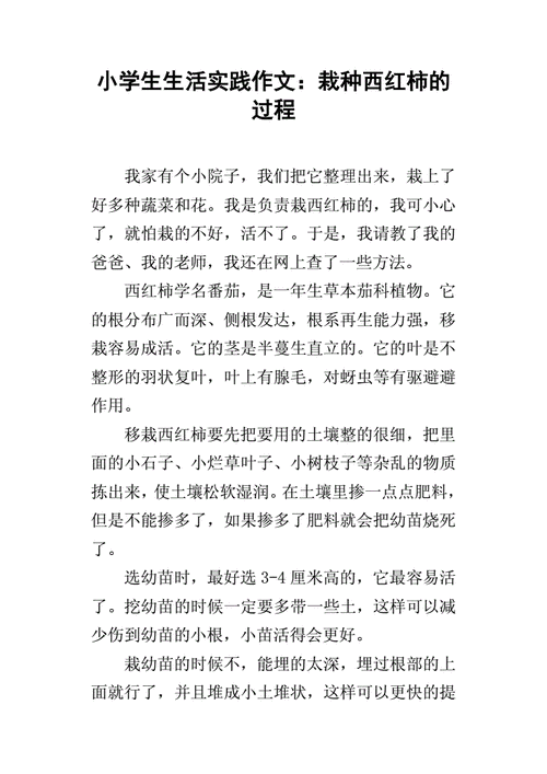 校园一角种番茄三年级作文_种植番茄种子作文怎么写三年级 校园一角种番茄三年级作文_种植番茄种子作文怎么写三年级 土壤施肥