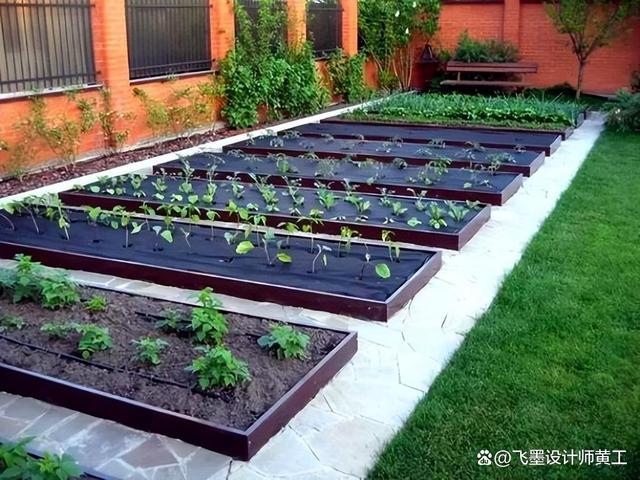 家庭小院怎么种菜_农村院子蔬菜种植小技巧视频 家庭小院怎么种菜_农村院子蔬菜种植小技巧视频 番茄种植技巧