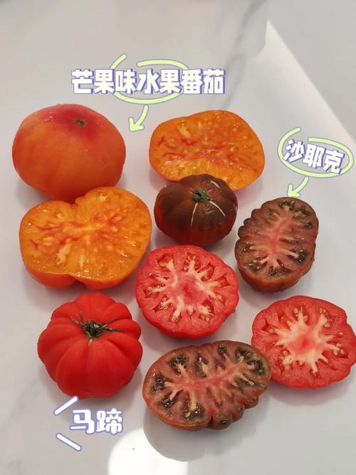 黄芒果番茄的种植_芒果番茄种子怎么种植的 黄芒果番茄的种植_芒果番茄种子怎么种植的 土壤施肥