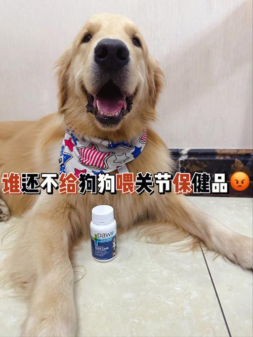 给狗狗起什么名字好_贝拉番茄种子怎么种植视频 农业常识 给狗狗起什么名字好_贝拉番茄种子怎么种植视频 给狗狗起什么名字好_贝拉番茄种子怎么种植视频 农业常识