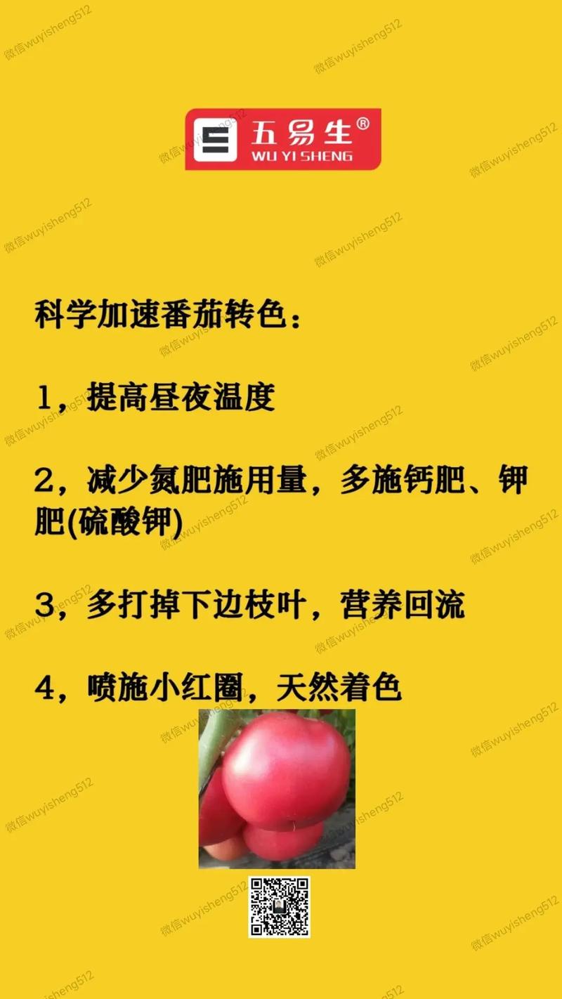 怎样给西红柿增大增甜呢_甜番茄怎么种植方法图片大全 怎样给西红柿增大增甜呢_甜番茄怎么种植方法图片大全 种植技巧