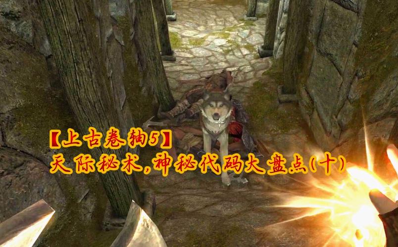 上古卷轴5,天际升代码_揭开游戏背后的秘密 上古卷轴5,天际升代码_揭开游戏背后的秘密 土壤施肥