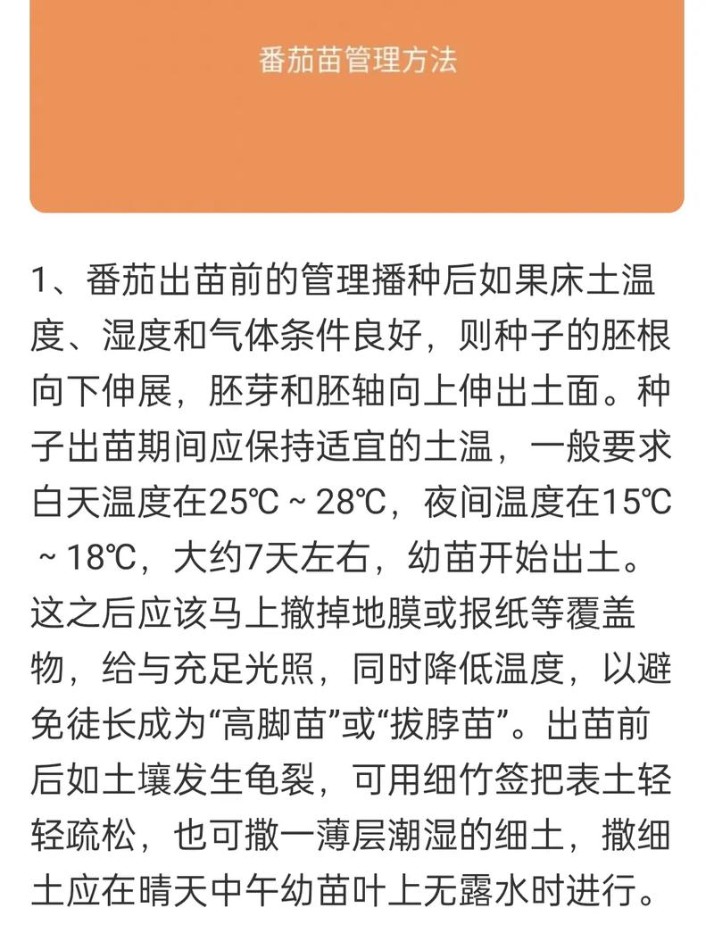 冬天可以种番茄吗_番茄怎么安全入冬种植呢 冬天可以种番茄吗_番茄怎么安全入冬种植呢 植物种类