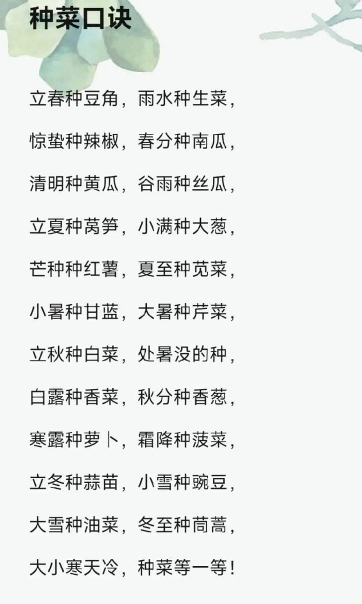 蔬菜种植口诀_蔬菜种植技巧口诀大全图片 蔬菜种植口诀_蔬菜种植技巧口诀大全图片 番茄种植技巧