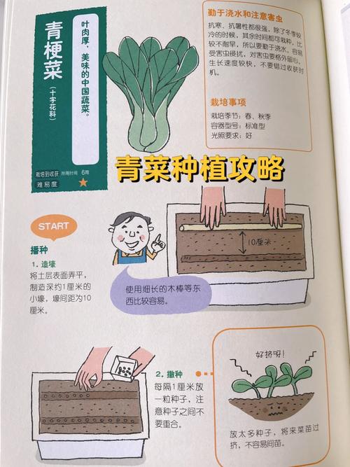 阳台青菜的种植方法和时间_阳台蔬菜种植打盆技巧视频 阳台青菜的种植方法和时间_阳台蔬菜种植打盆技巧视频 土壤施肥