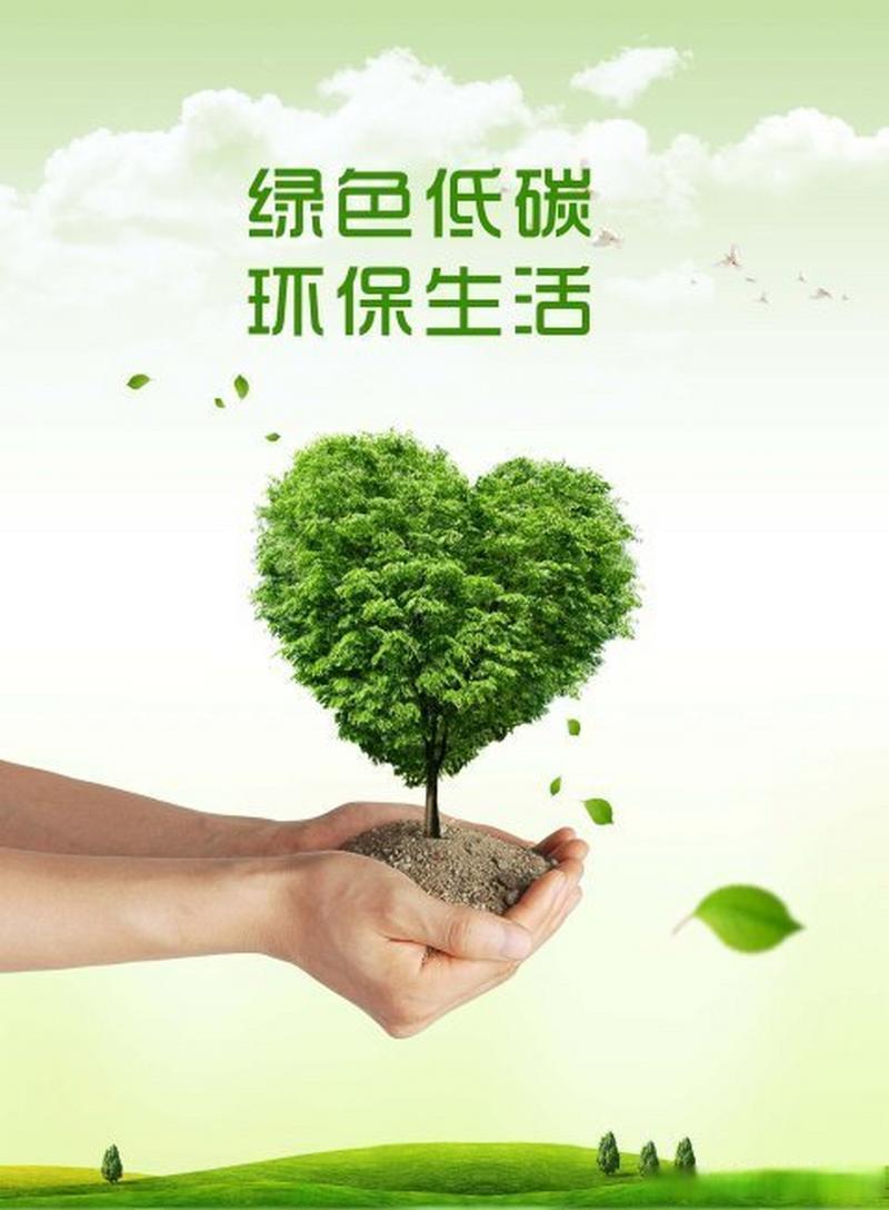 绿色时尚新风尚,介绍衣服回收网站的创新与价值 绿色时尚新风尚,介绍衣服回收网站的创新与价值 植物种类