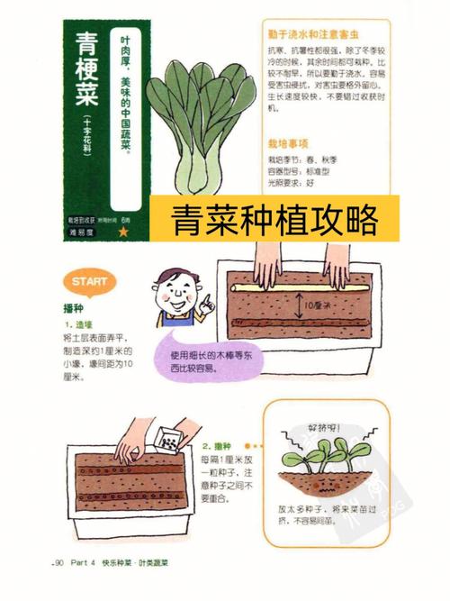 高温青菜种植方法_夏天蔬菜种植技巧与方法视频 高温青菜种植方法_夏天蔬菜种植技巧与方法视频 种植技巧