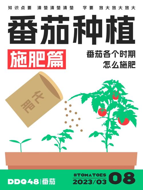 番茄打头咋弄_番茄种植前怎么做肥料 番茄打头咋弄_番茄种植前怎么做肥料 花朵知识