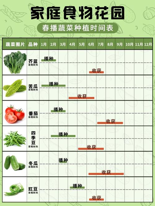 2020年春季适合播种哪些蔬菜，蔬菜种植注意事项又有哪些呢_春天蔬菜种植技巧管理方法 2020年春季适合播种哪些蔬菜，蔬菜种植注意事项又有哪些呢_春天蔬菜种植技巧管理方法 土壤施肥