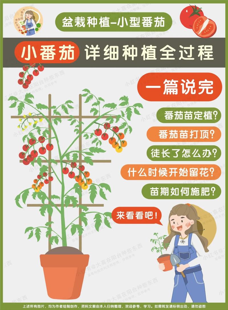 阳台西红柿的种植方法_番茄怎么种植阳台种子呢视频 阳台西红柿的种植方法_番茄怎么种植阳台种子呢视频 土壤施肥